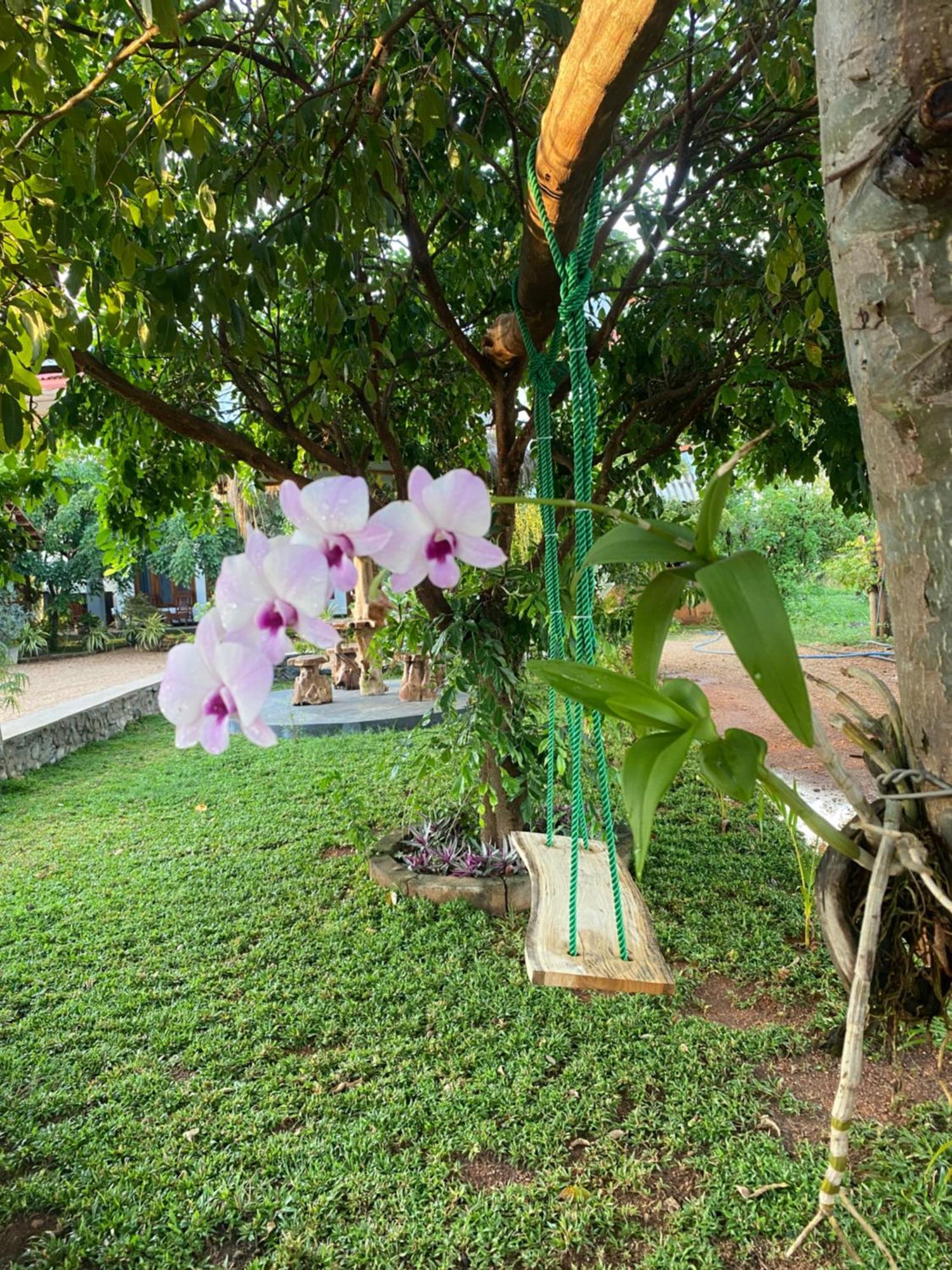 Hotel Hanguk Villa Дамбула Екстериор снимка